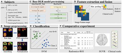 Deep-Learning Radiomics for Discrimination Conversion of Alzheimer's Disease in Patients With Mild Cognitive Impairment: A Study Based on 18F-FDG PET Imaging